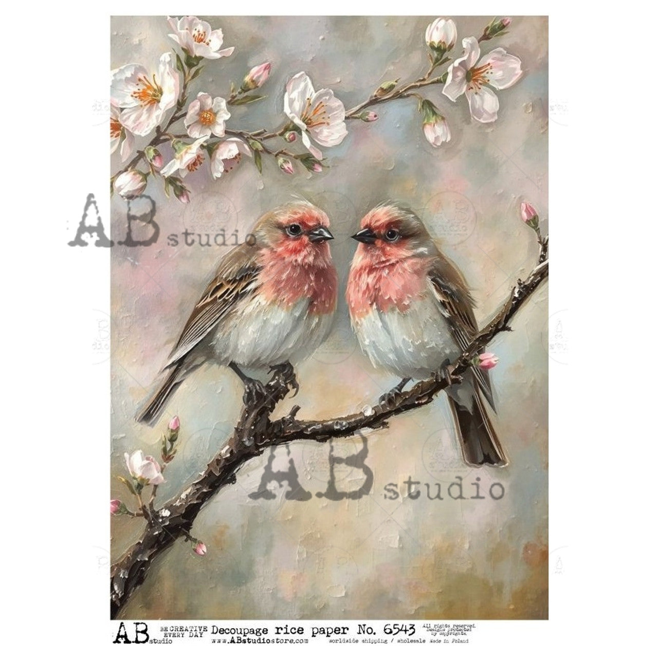 2025-Cherry Blossom Birds ABRP_6543
