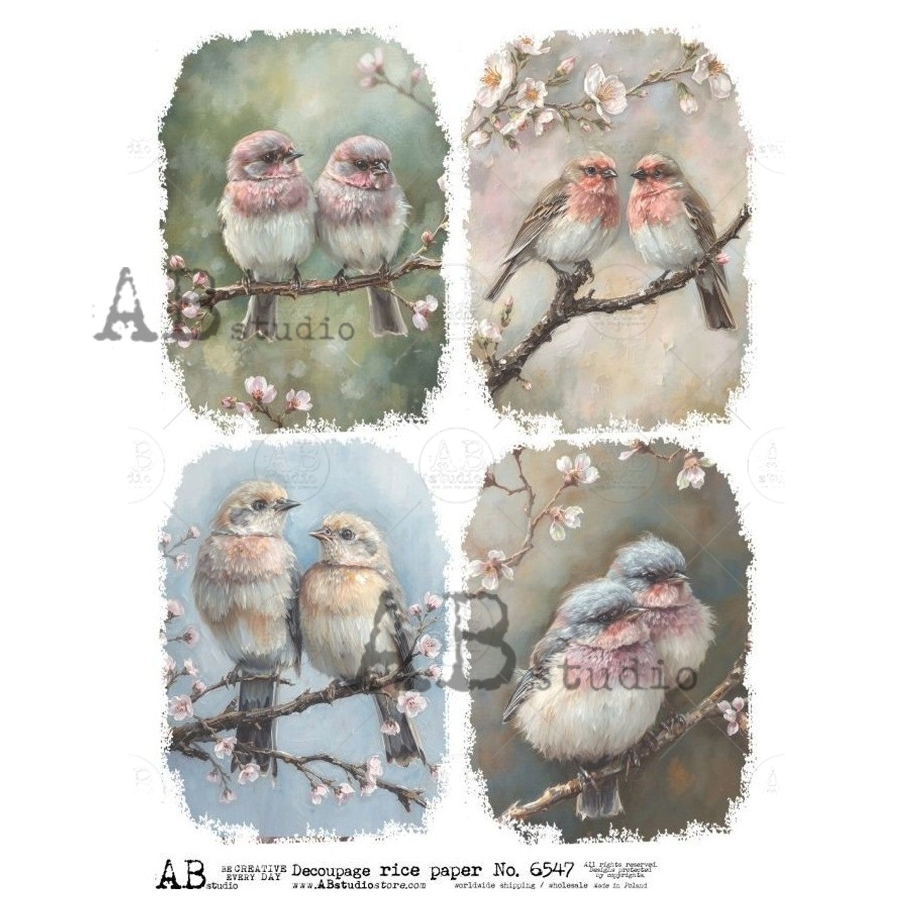 2025-Four Pastel Birds ABRP_6547