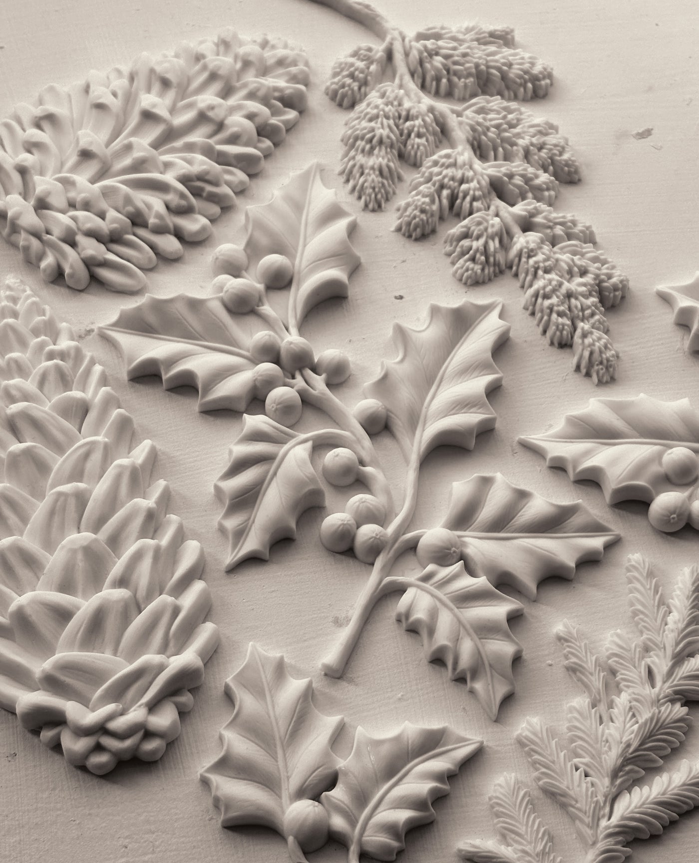 2025-Winter Forage (New Release)