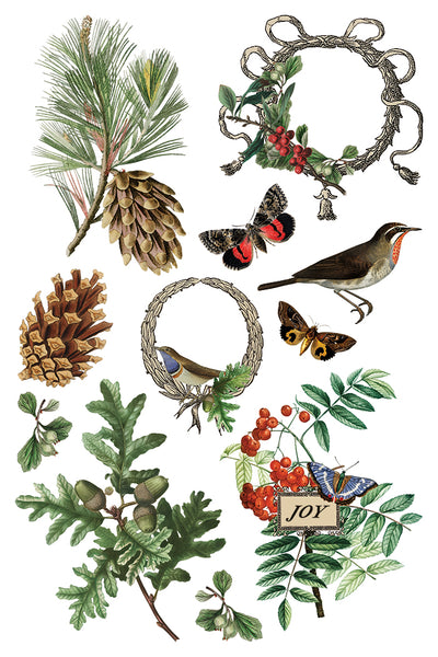 2025-Winter Botanist Transfer (New Release)