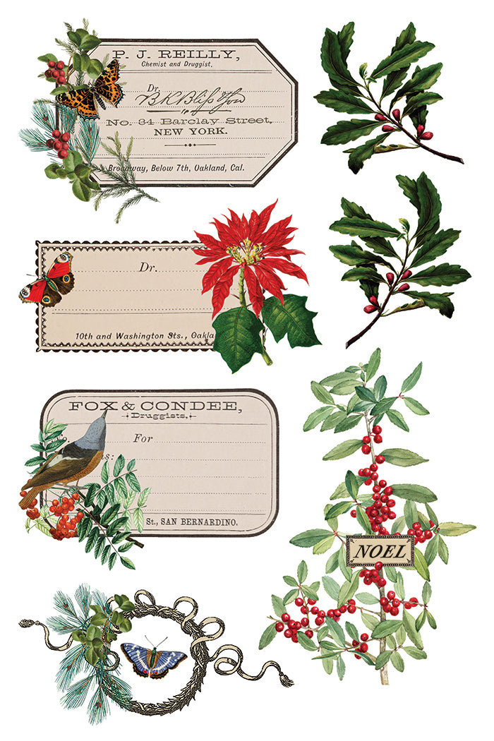 2025-Winter Botanist Transfer (New Release)