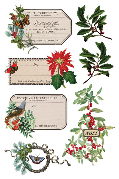 2025-Winter Botanist Transfer (New Release)