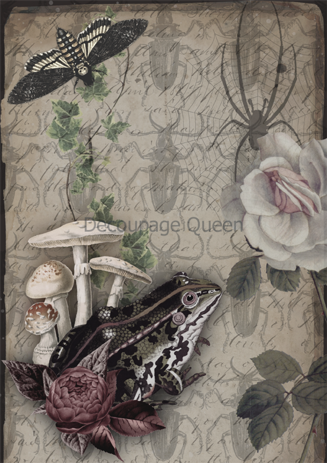 Decoupage Queen-Diary Entries 0610