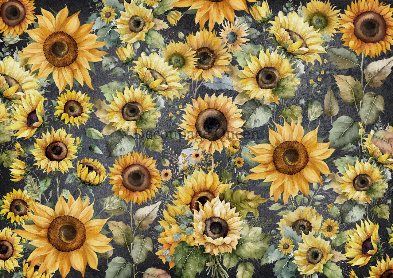 Decoupage Queen-Field of Sunflowers