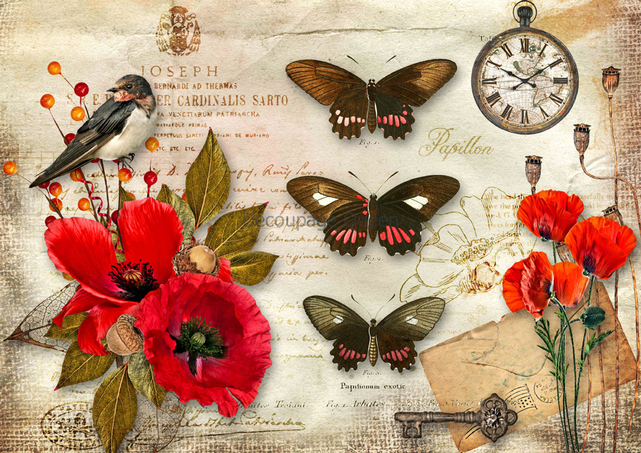 Decoupage Queen-Papillon Poppies 0653