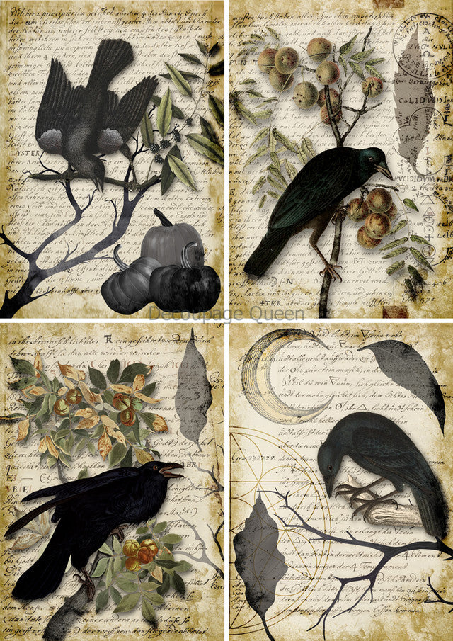 Decoupage Queen-Raven Grimoire 4 Pack 0627