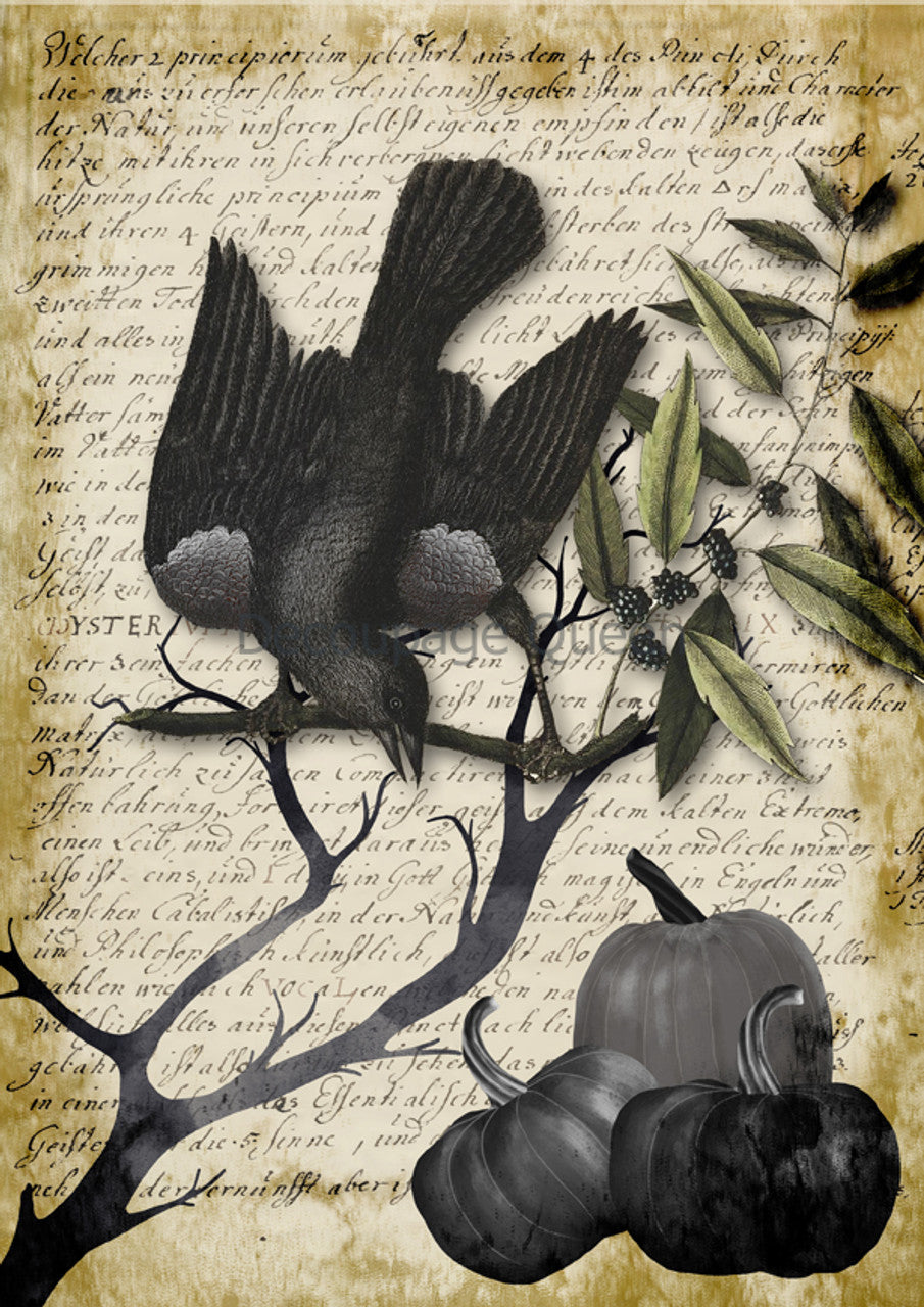Decoupage Queen-Raven Grimoire I 0623