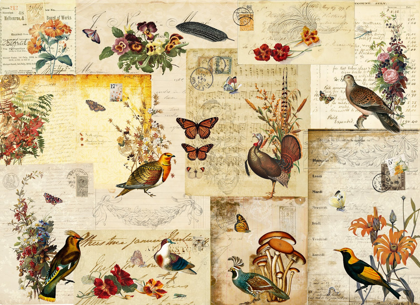 2025-Fall Flock Masterboard-New Release