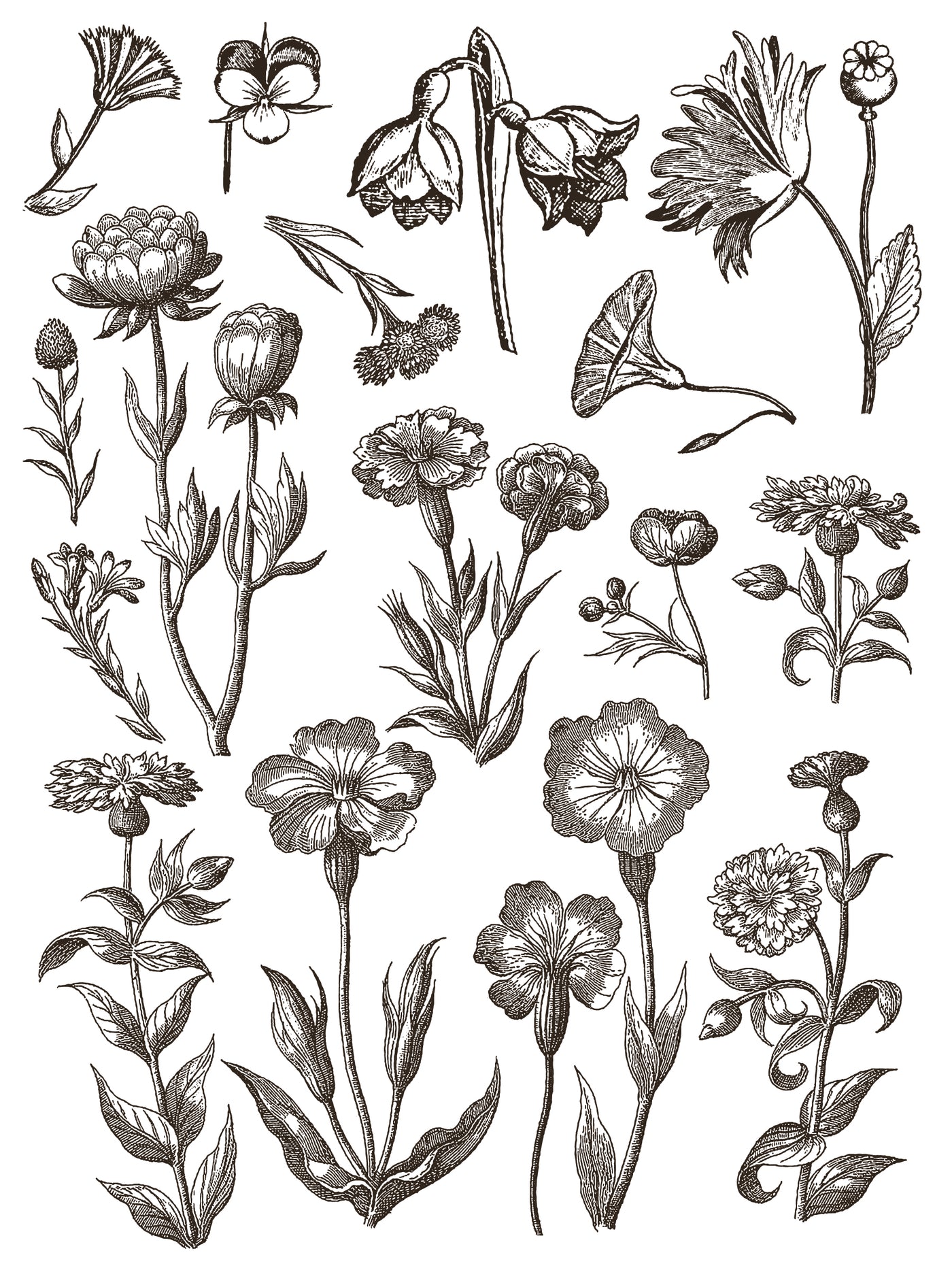 Floriography Paint Inlay