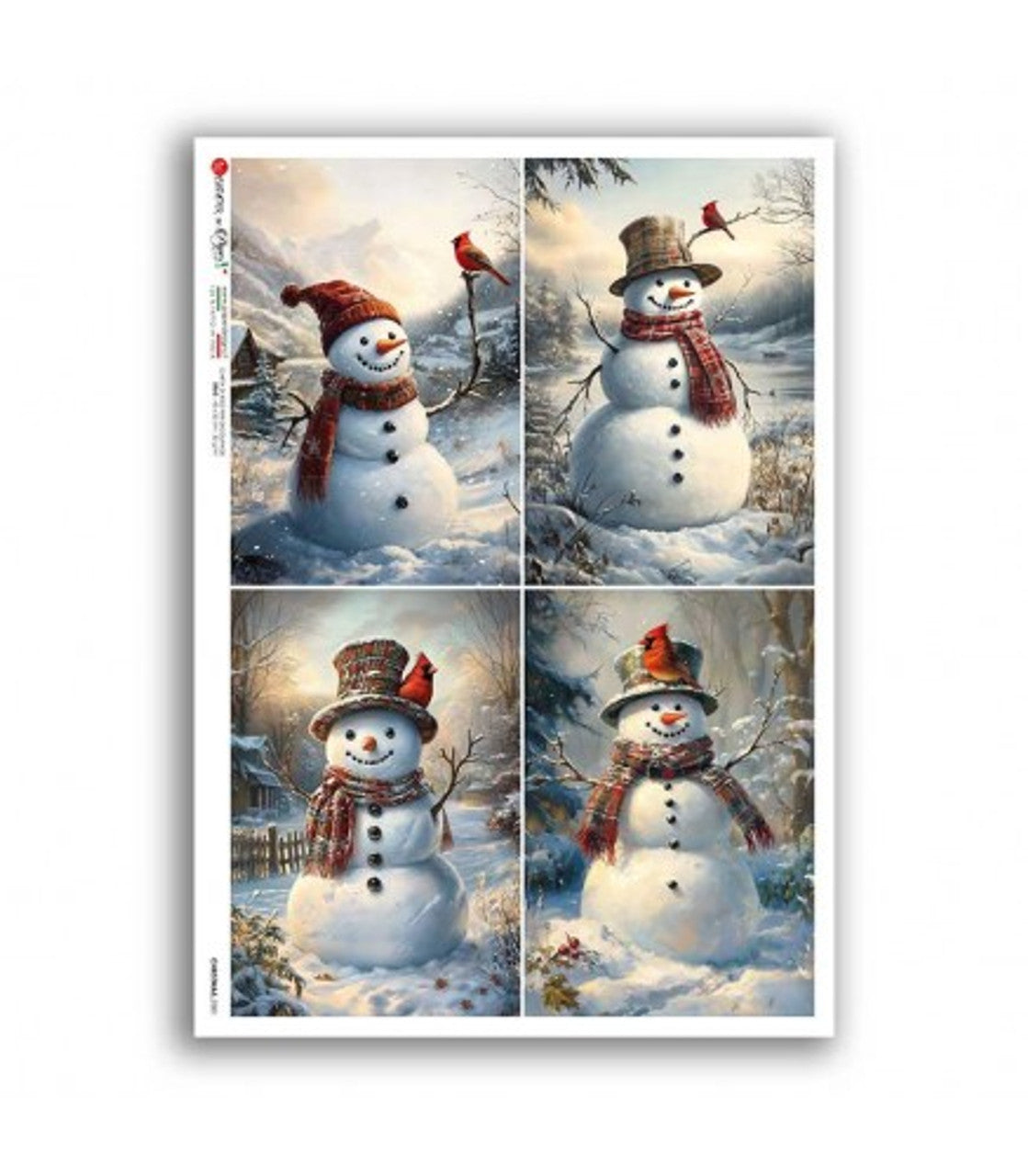 2025-Paper Designs-Frosted Four Pack (Christmas 0381)