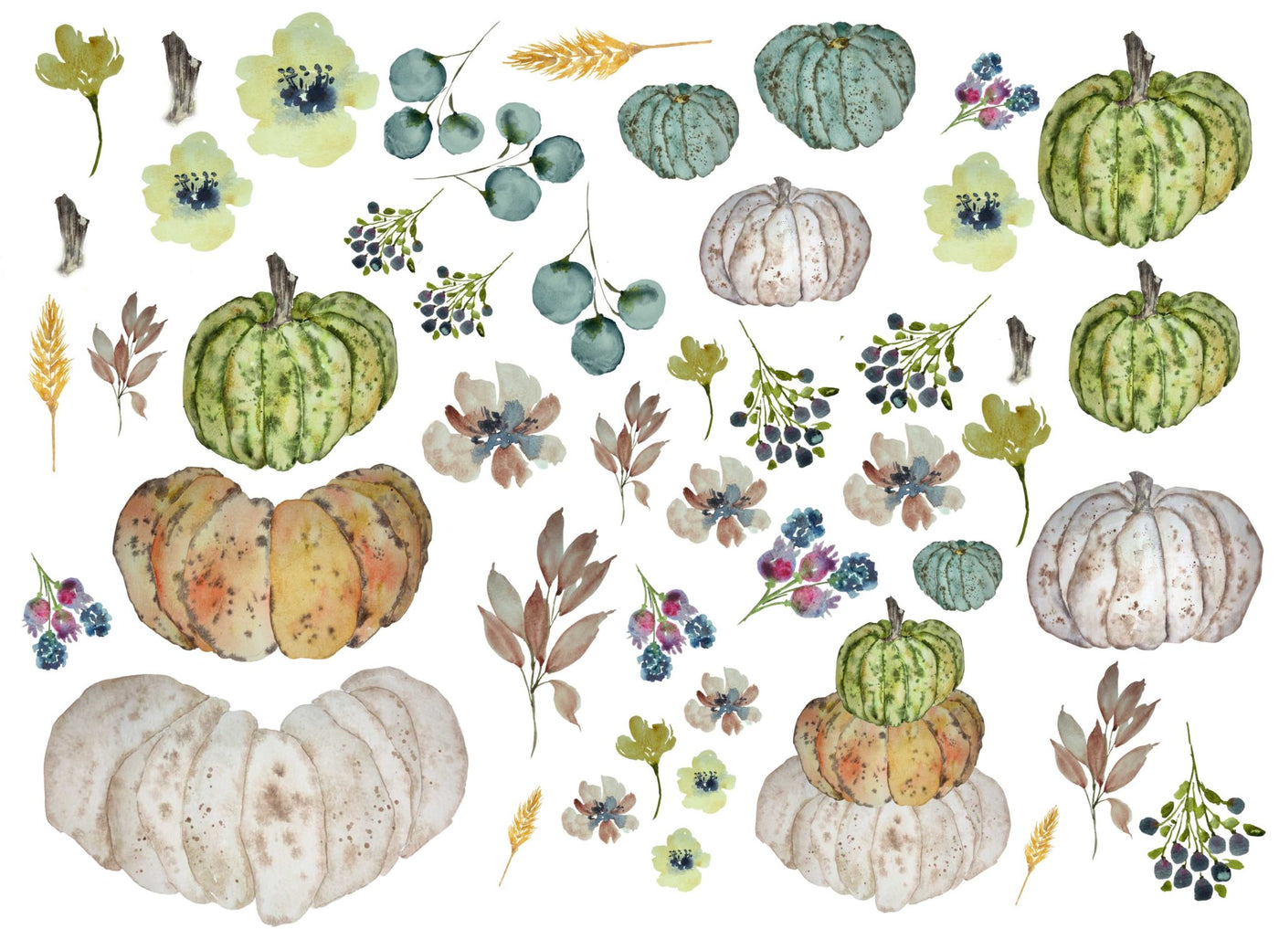 2023-Heirloom Pumpkins-New Release