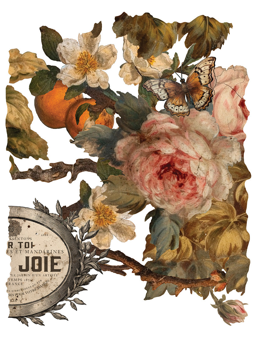 2024-Joie des Roses Transfer (New Release)