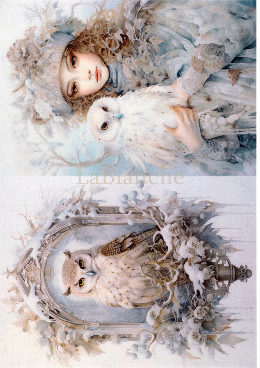2024-Frosty Winter 3-LBD377 (New)