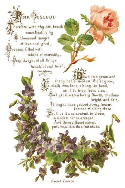Lover of Flowers Transfer