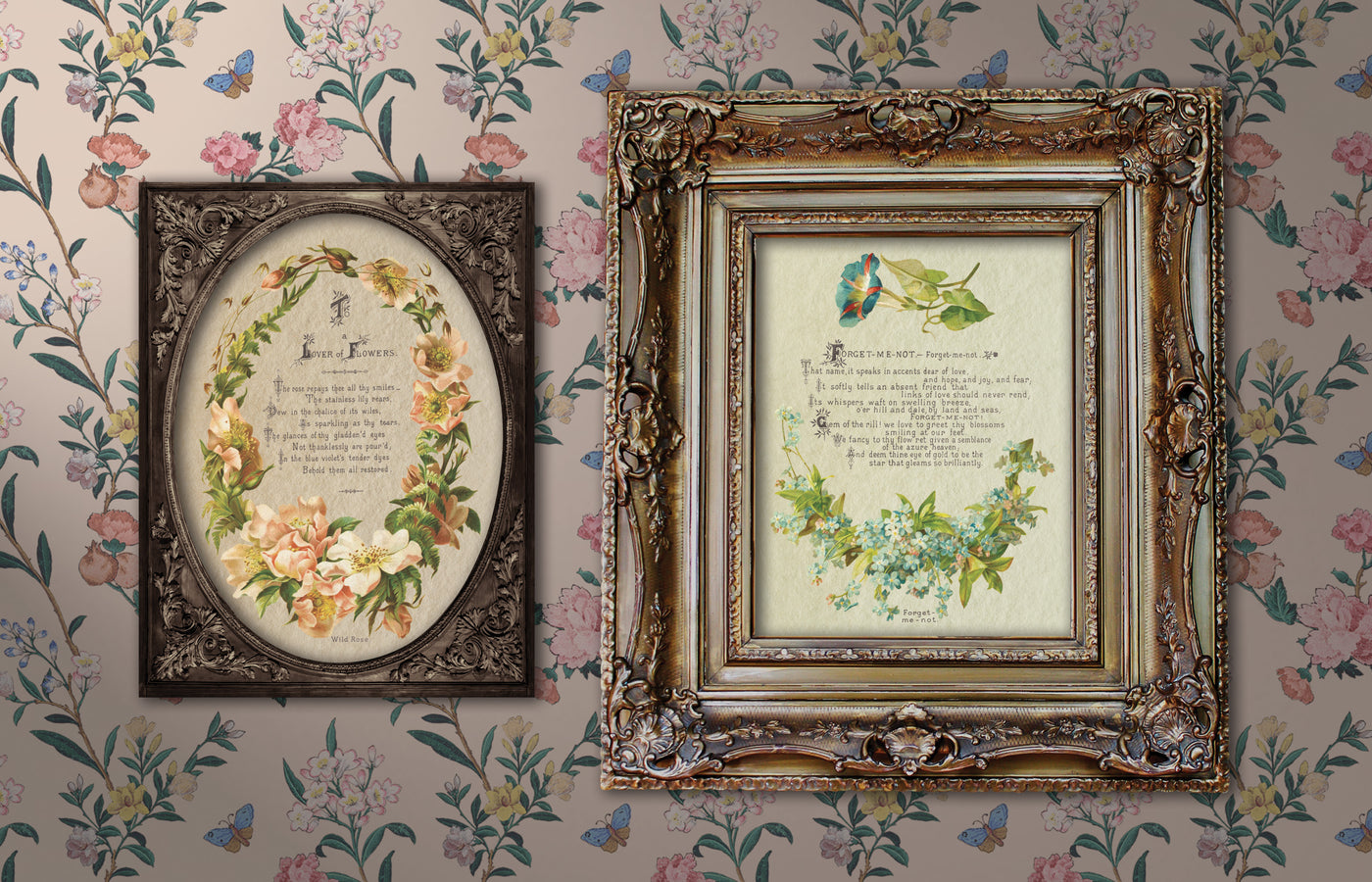 Lover of Flowers Transfer