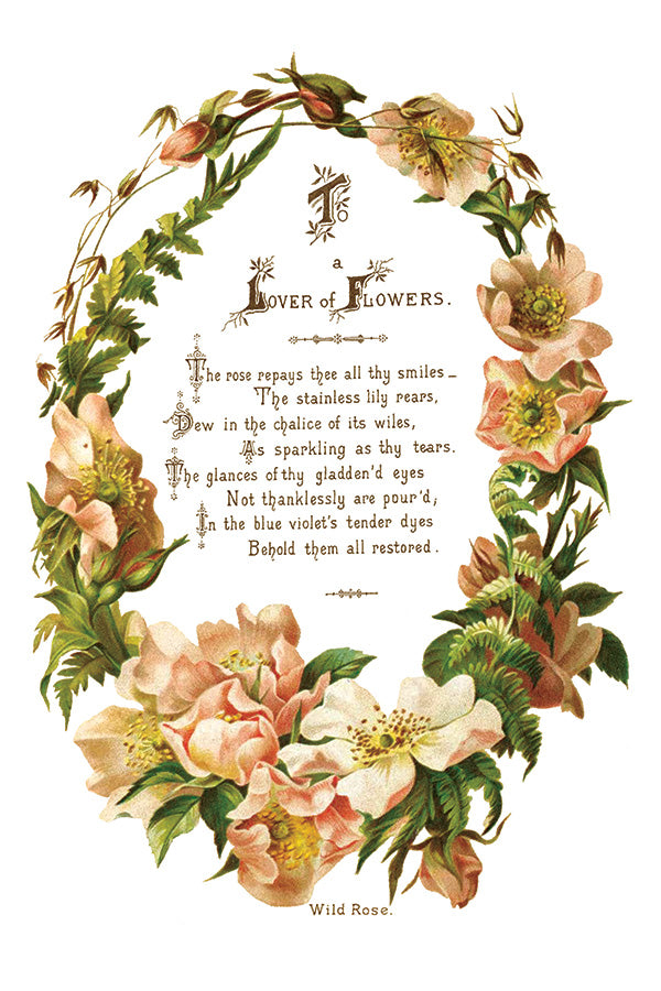 Lover of Flowers Transfer