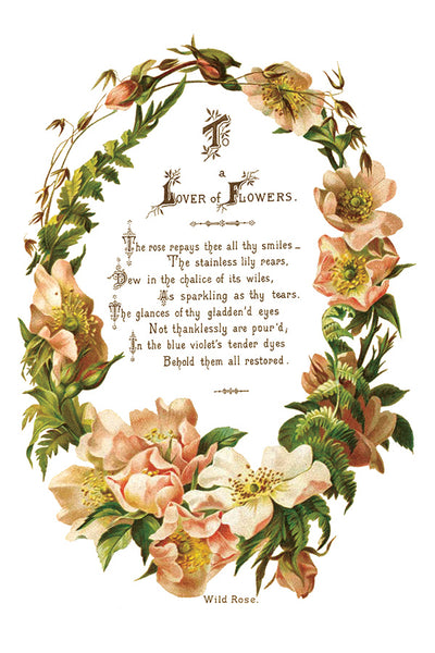Lover of Flowers Transfer