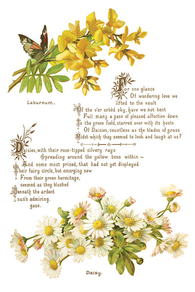 Lover of Flowers Transfer