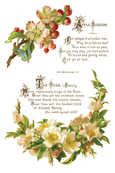 Lover of Flowers Transfer