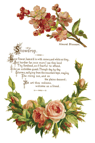 Lover of Flowers Transfer