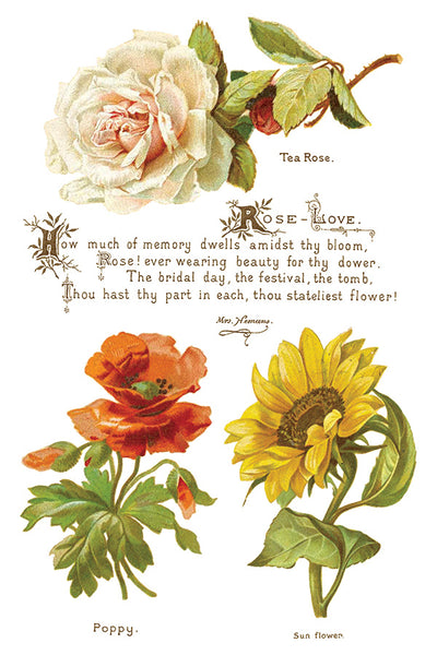Lover of Flowers Transfer