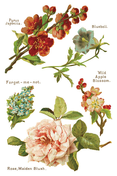 Lover of Flowers Transfer