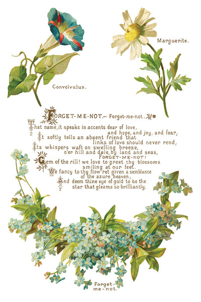 Lover of Flowers Transfer
