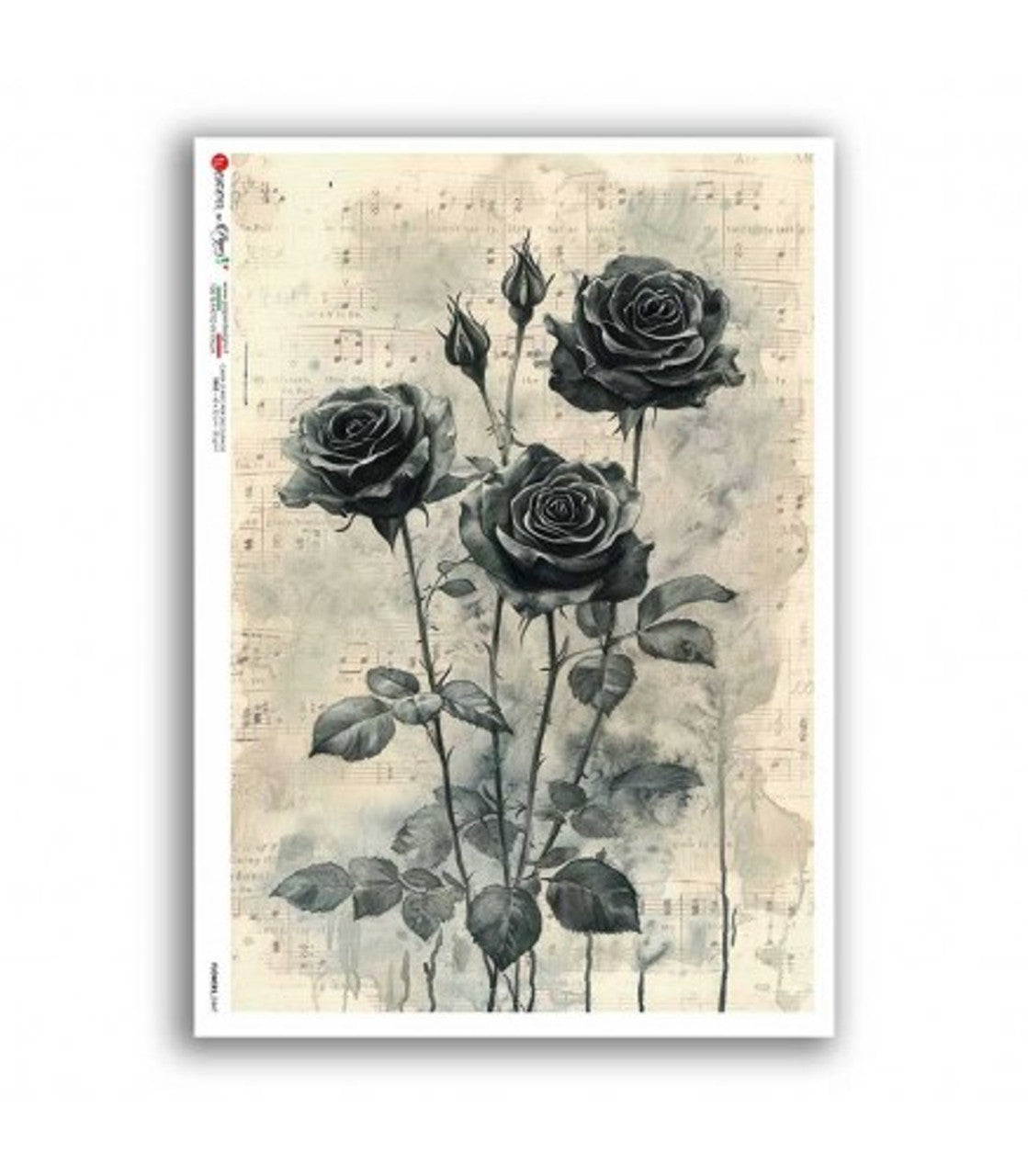 2025-Paper Designs-Nocturne Roses (Flowers 0447)