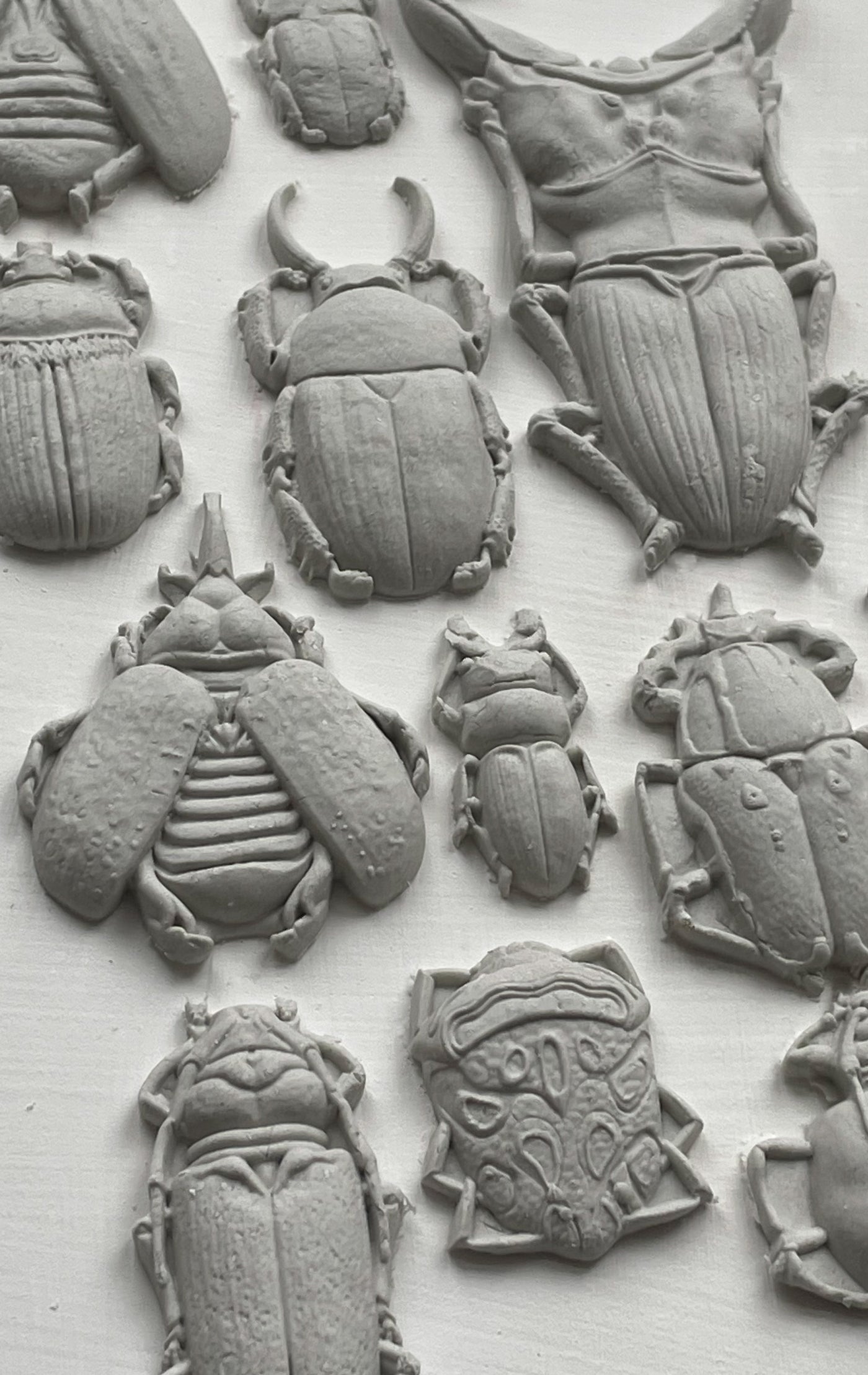 Specimens Mould