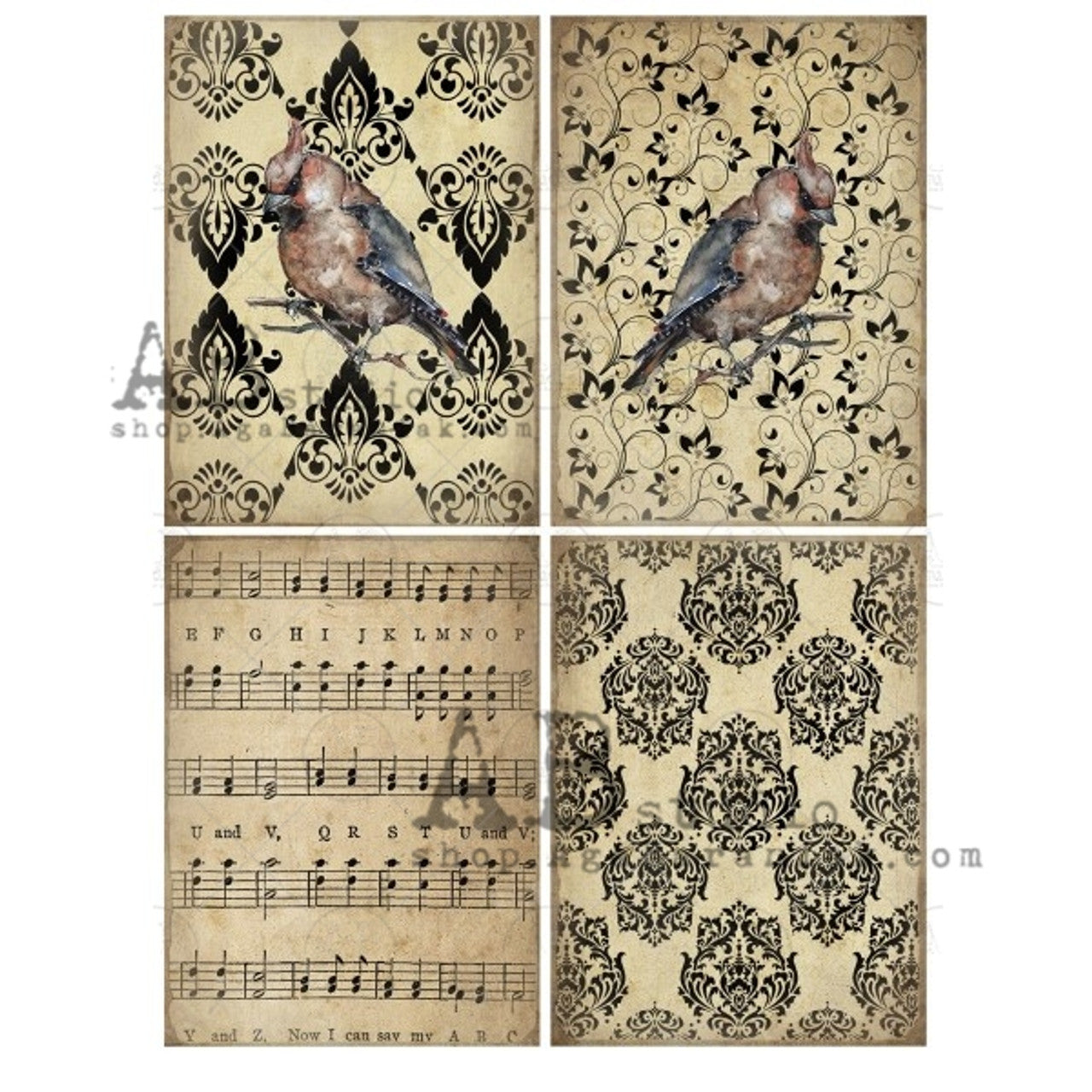 Tan Damask Bird-ABRP_0492