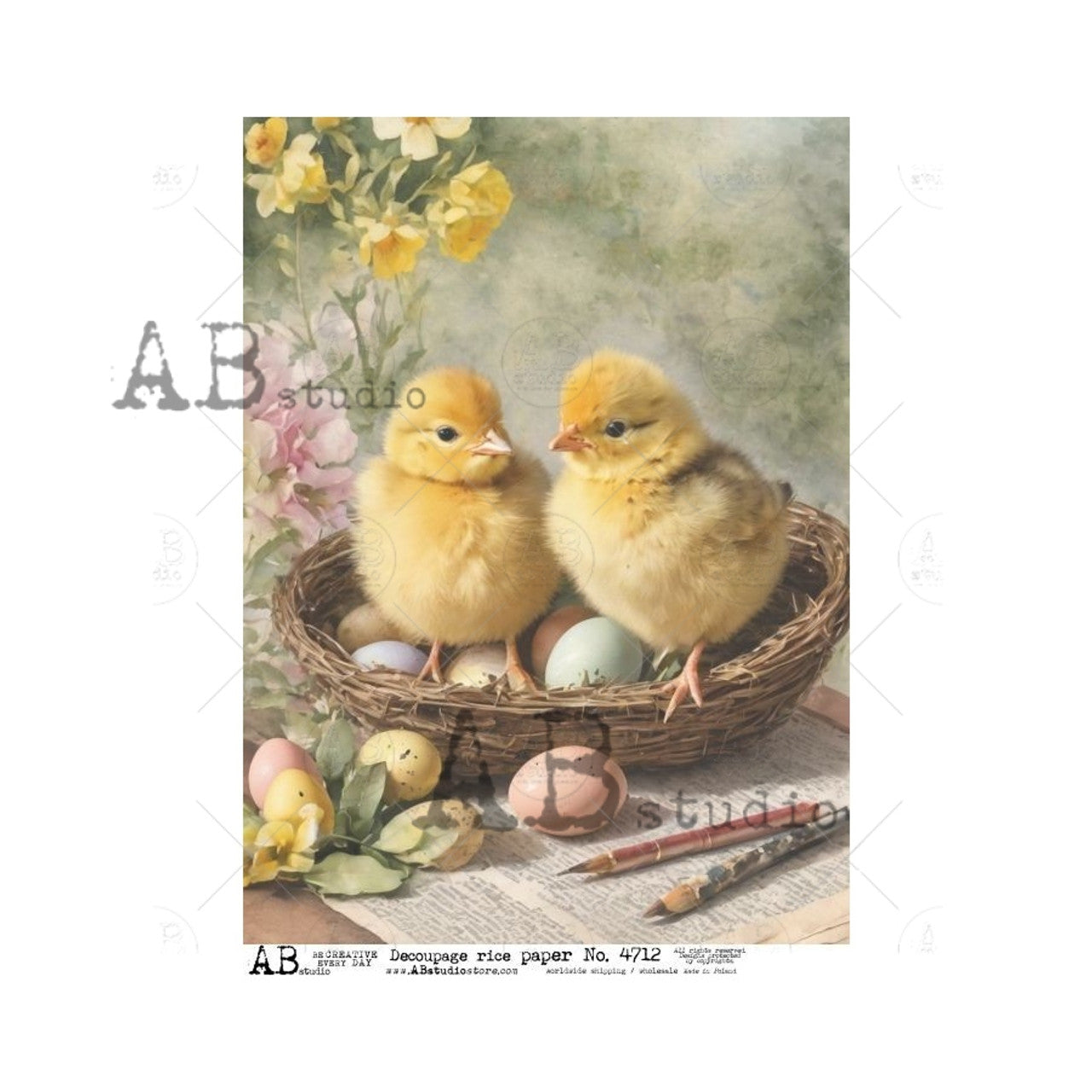 Two Cute Chicks with Eggs-ABRP_4712