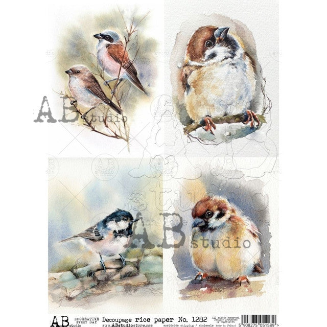 Water Color Birds 4 Pack-1282