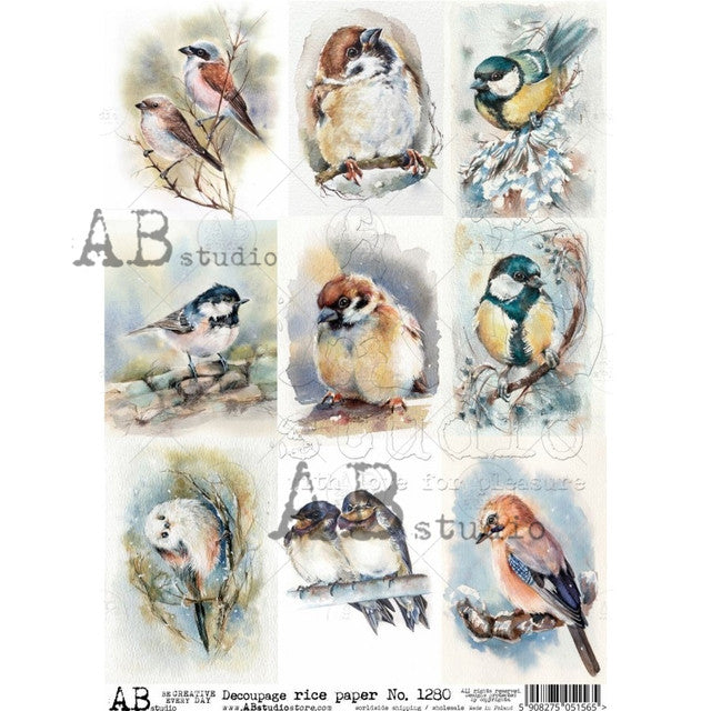 Water Color Birds 9 Pack-1280