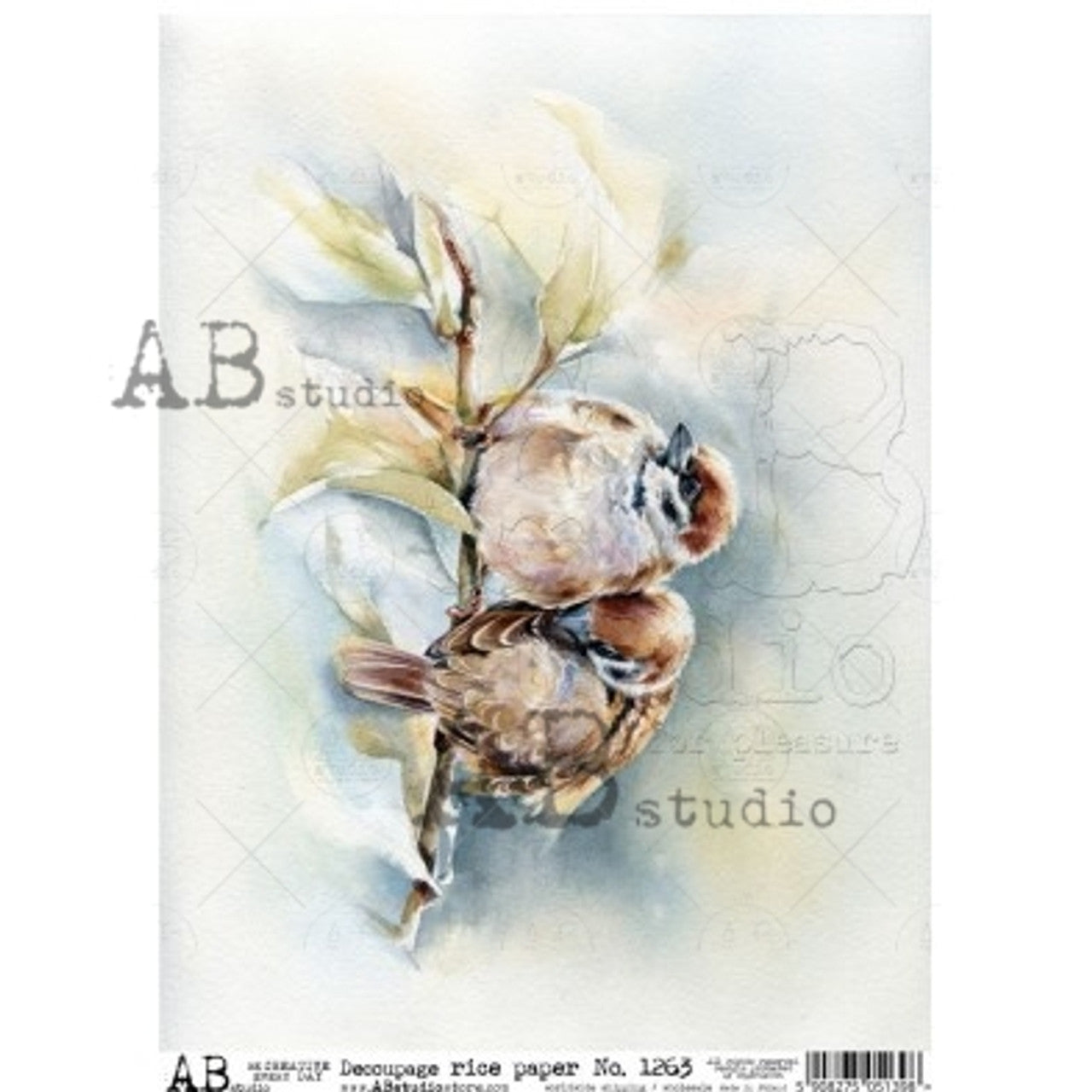 Water Color Birds-1263