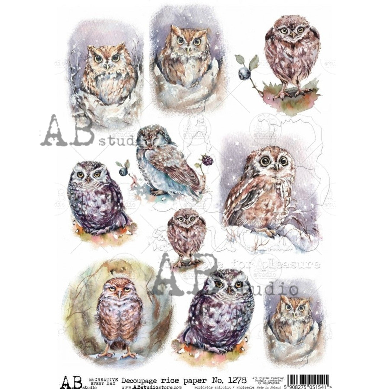 Water Color Owls 9 Pack-1278