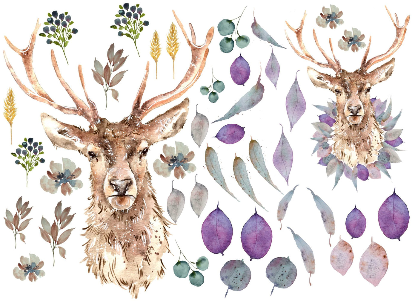 2023-Winter Stag-New Release
