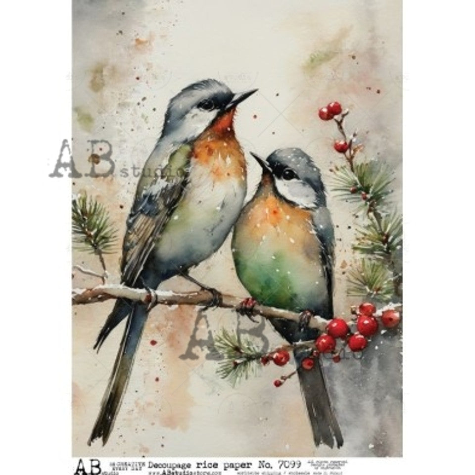 2025-Winter Birds on Branch (AB-7099)