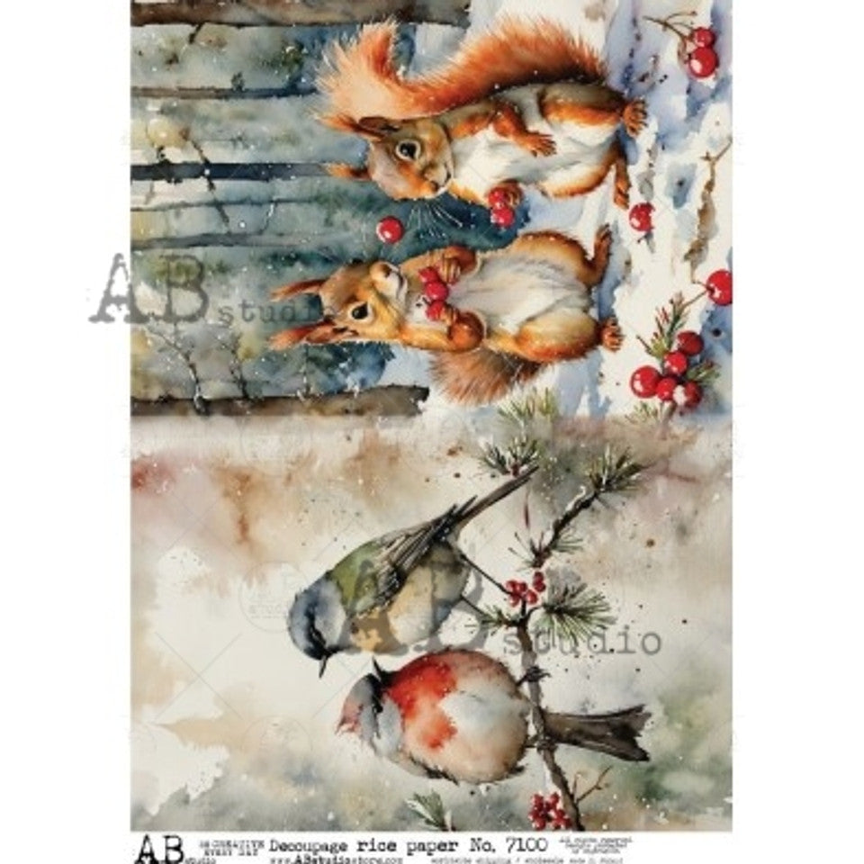 2025-Winter Squirrels & Birds (AB-7100)