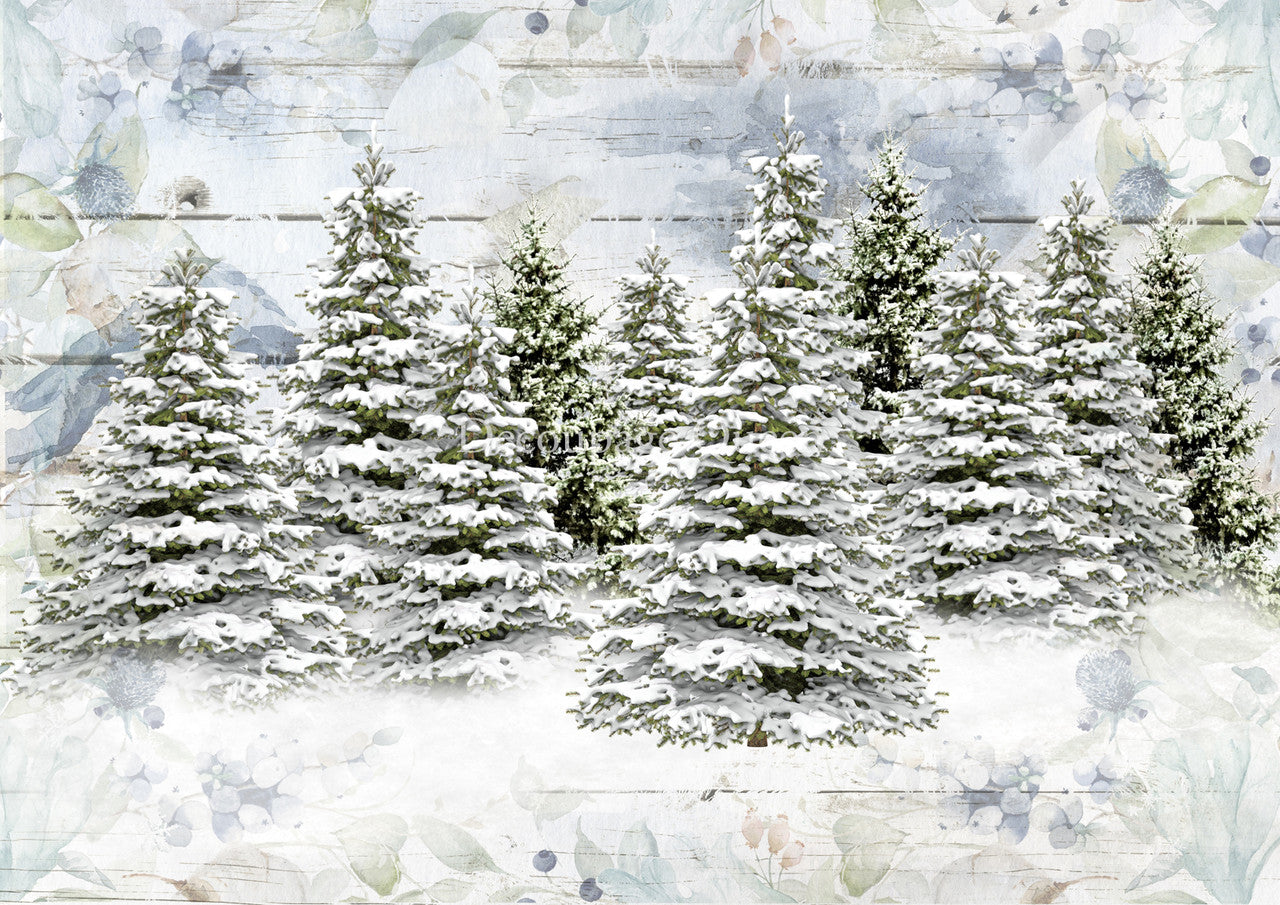 2023-Decoupage Queen -Woodland Trees (New)