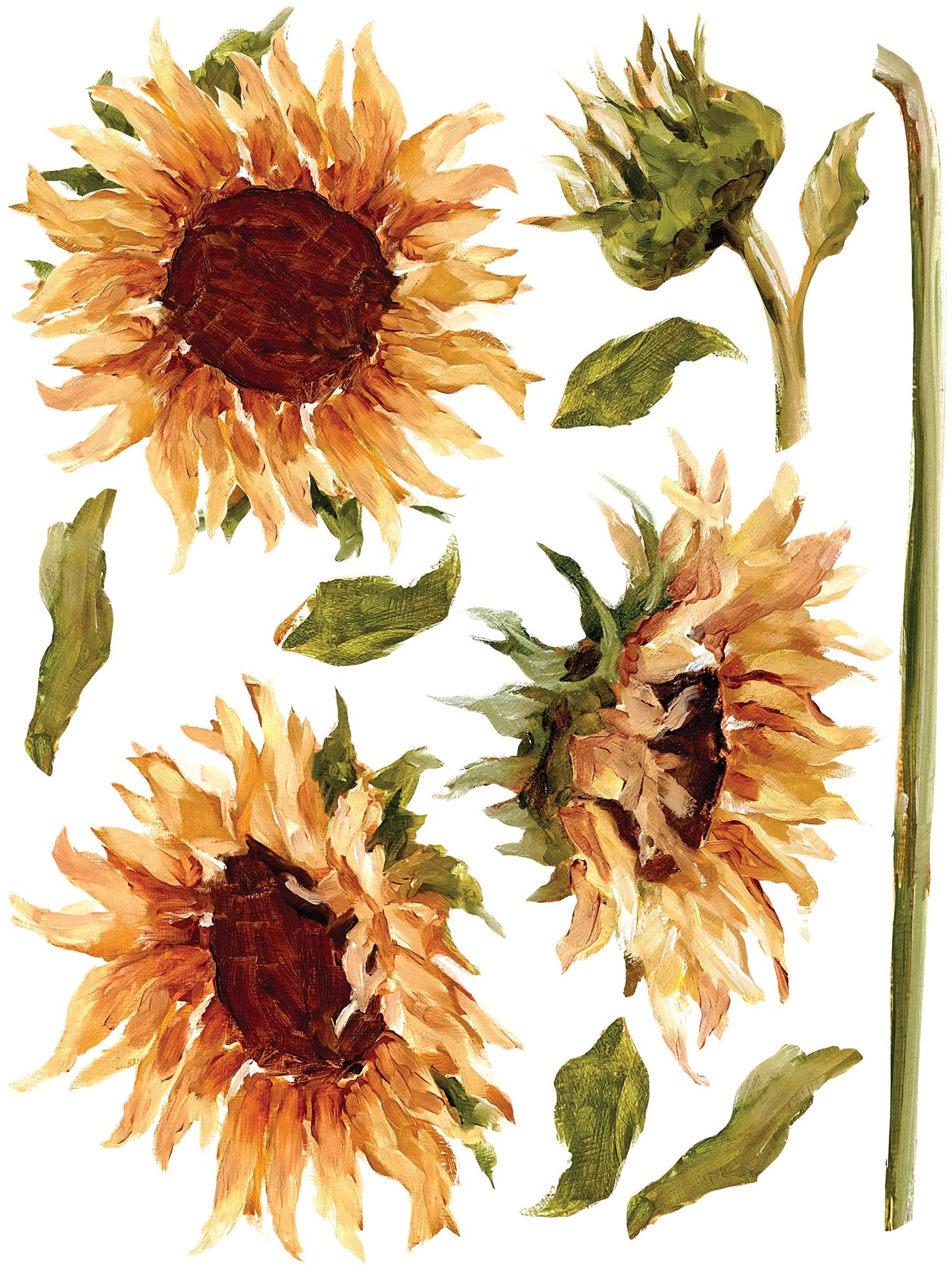 Painterly Floral Transfer (sheet)