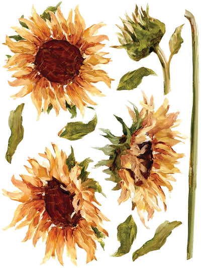 Painterly Floral Transfer (sheet)