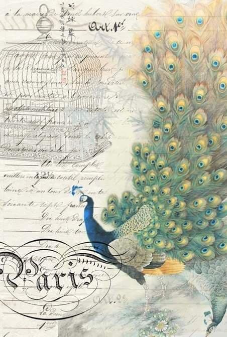 Peacock Empherma - Right Decoupage Paper-R