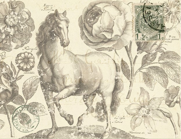 Botanical Equine Decoupage Paper-R
