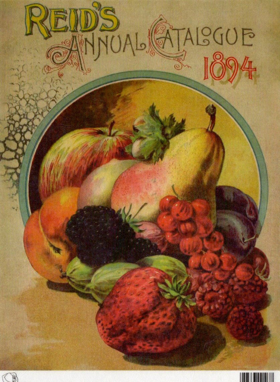 Calambour -  Reids Annual Catalog Fruits 1894 - TT54