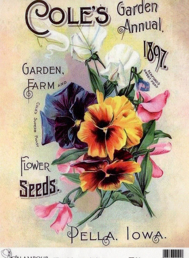 Calambour -  Cole's Garden Annual 1897 - TT84