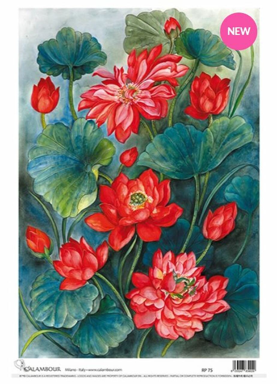 Calambour - Red Lotus Blossoms