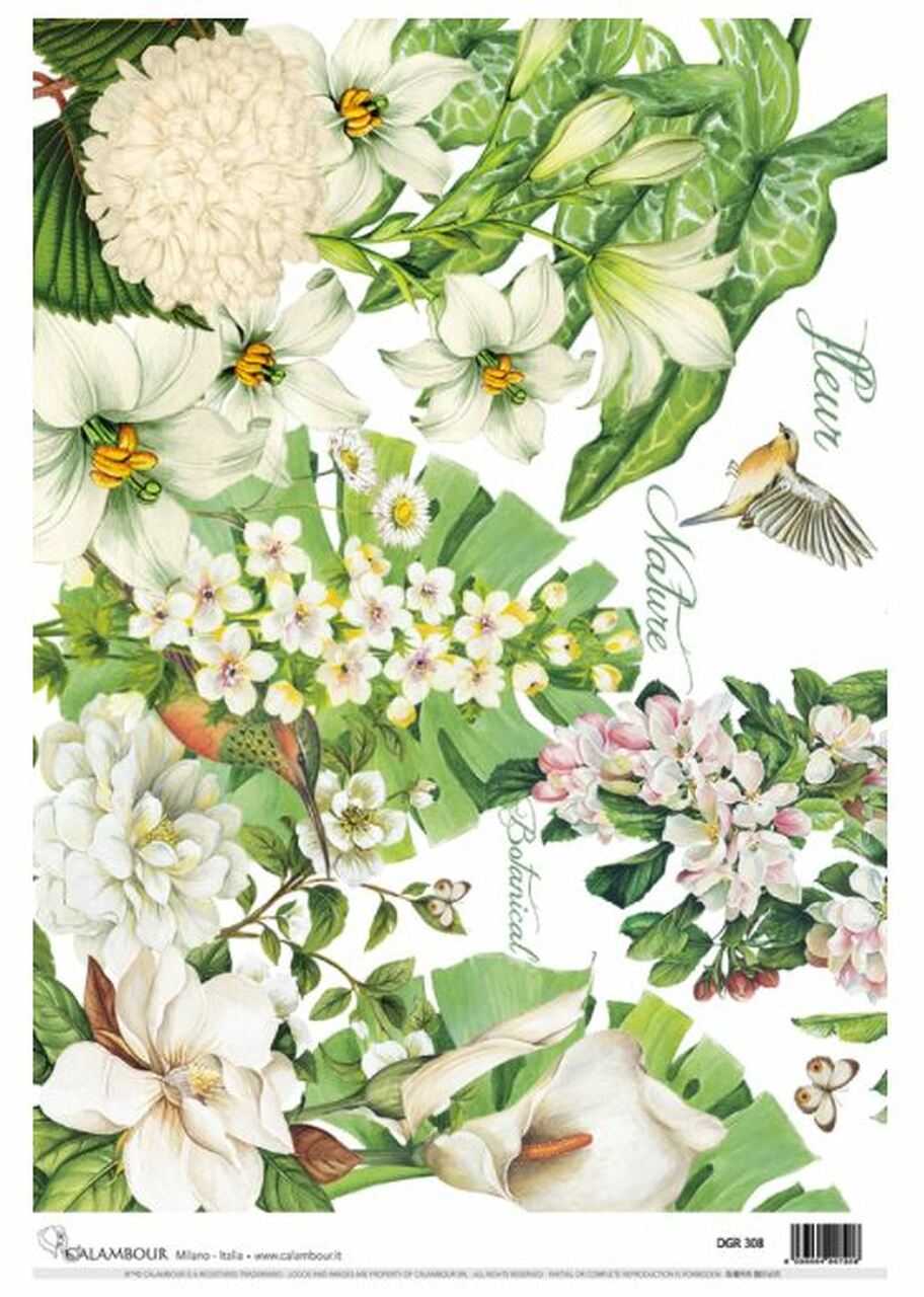 Calambour - White Floral