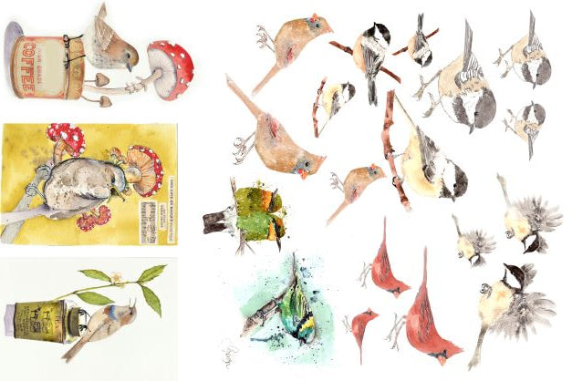 Catalogue of Birds