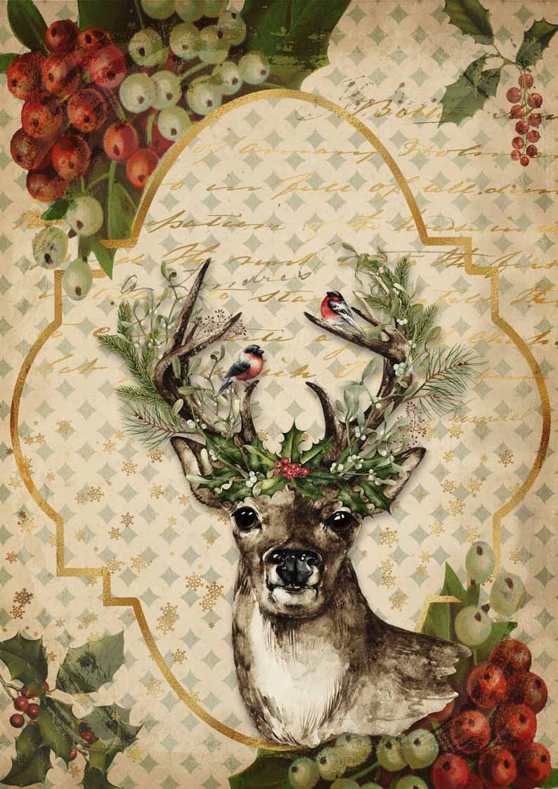DQ - Christmas Reindeer - 0062