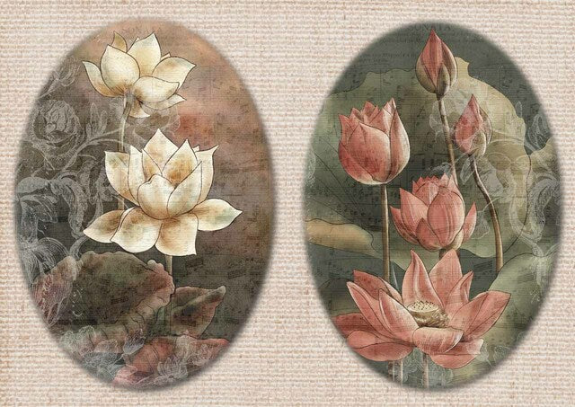 Decoupage Queen - Dainty and the Queen - Lotus